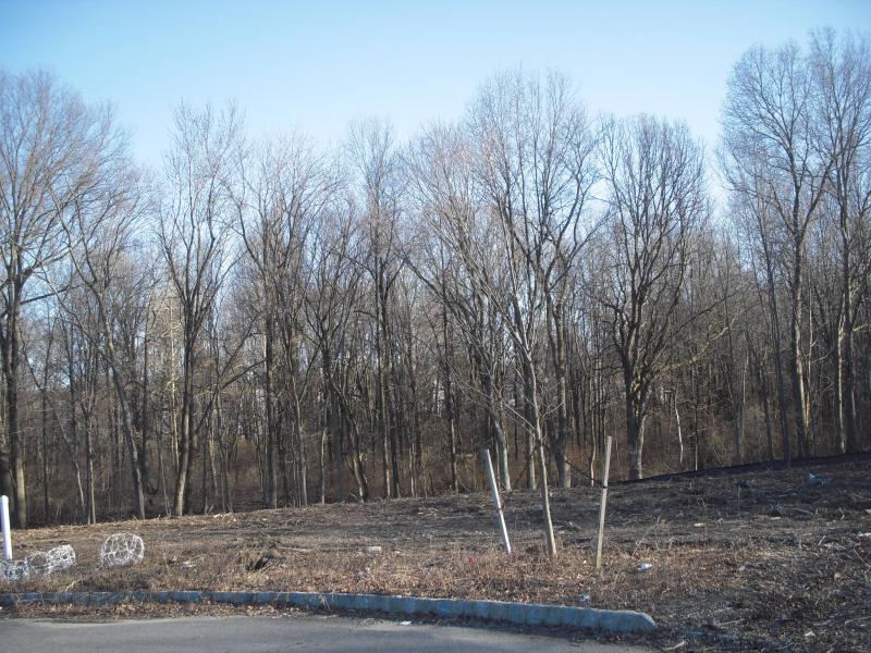 12 MEADOW CT