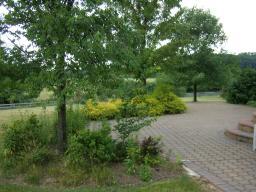 10 WYCKOFF DR