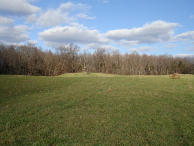 MLS #/Web ID: 2639928