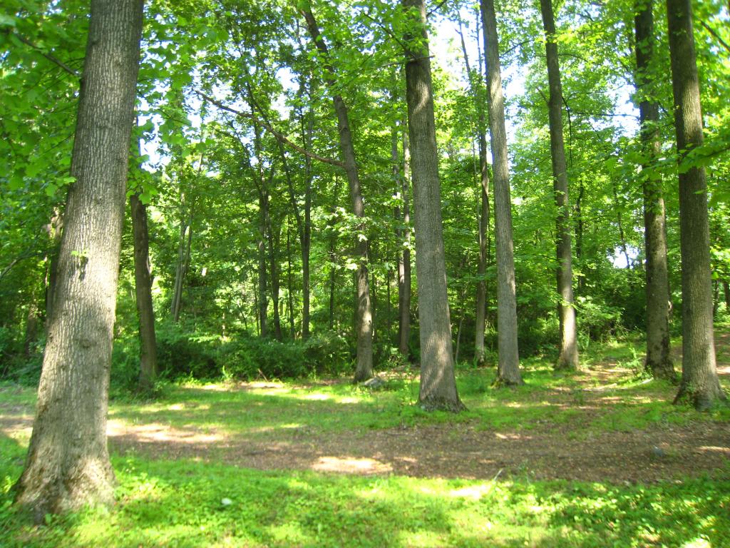 250 Mt. Airy Road