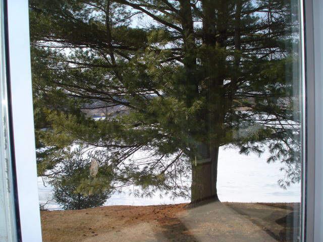 MLS #/Web ID: 2669029