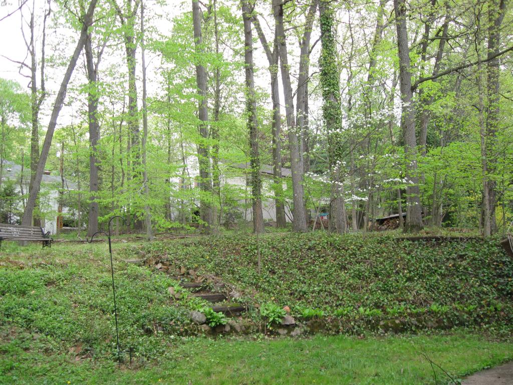MLS #/Web ID: 2681129