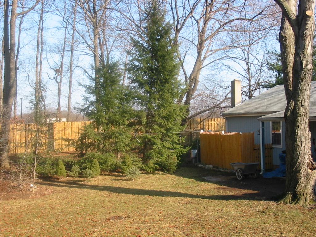 11 NORWOOD PL