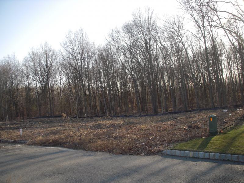 10 MEADOW CT