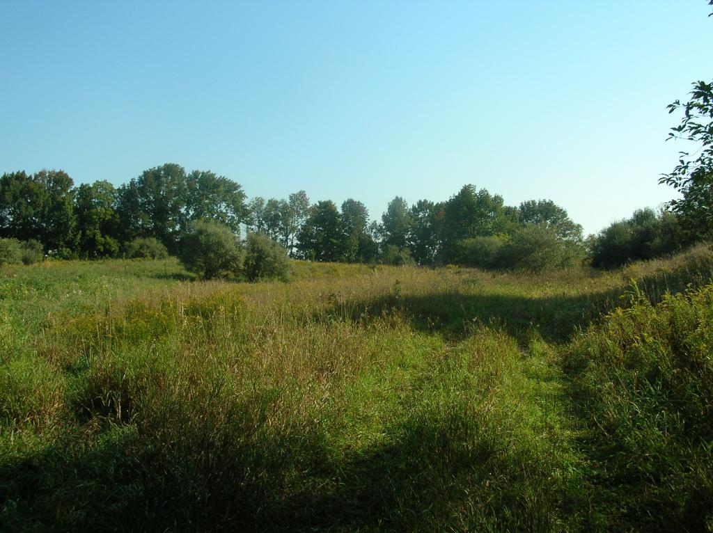 0 LILAC FARMS SUBDIVISION