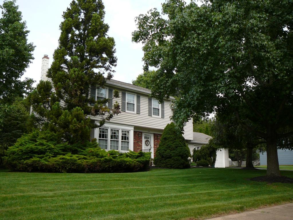 294 SHELBURNE PLACE