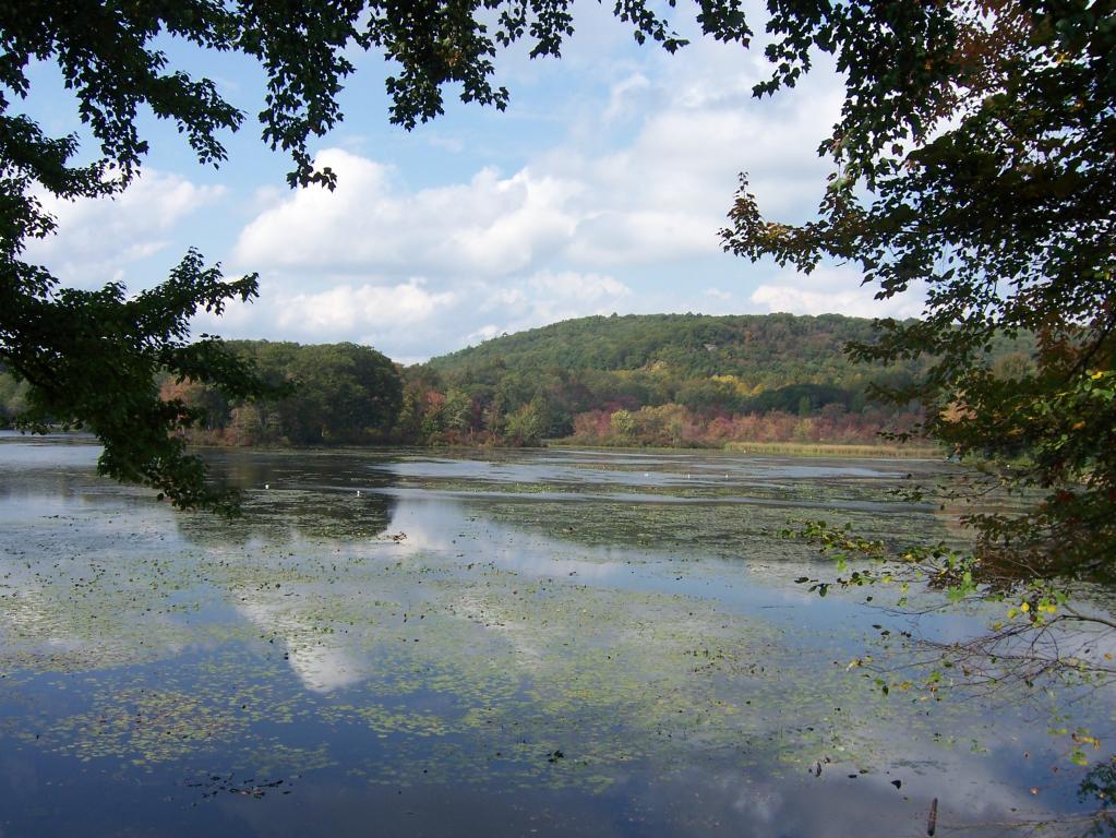 197 LAKE DR