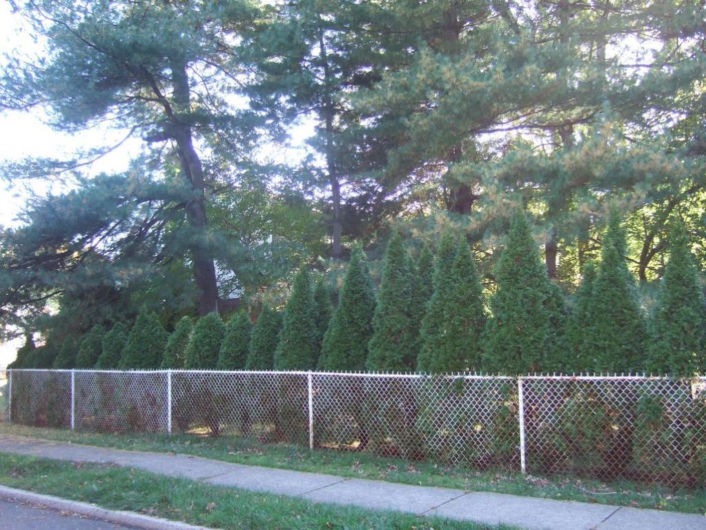 MLS #/Web ID: 2722330
