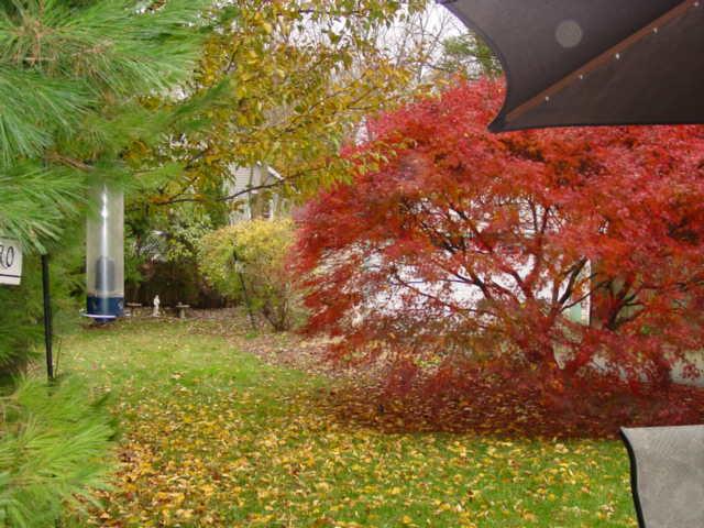 MLS #/Web ID: 2724030