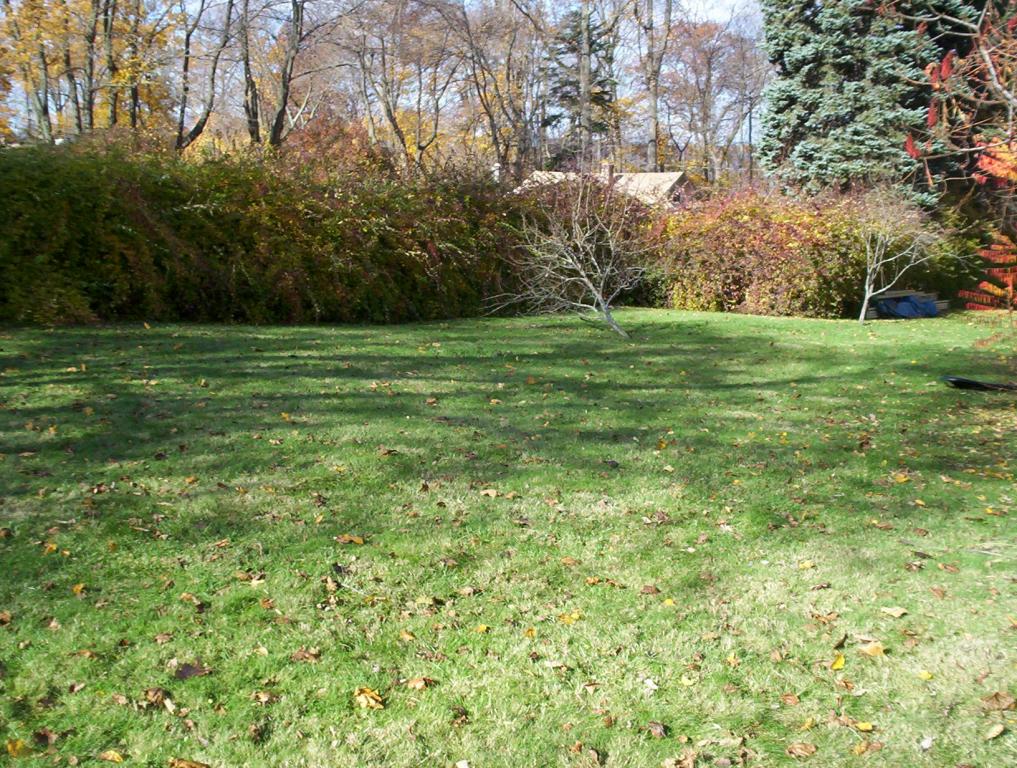 MLS #/Web ID: 2591131