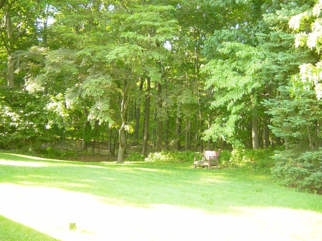 MLS #/Web ID: 2699631