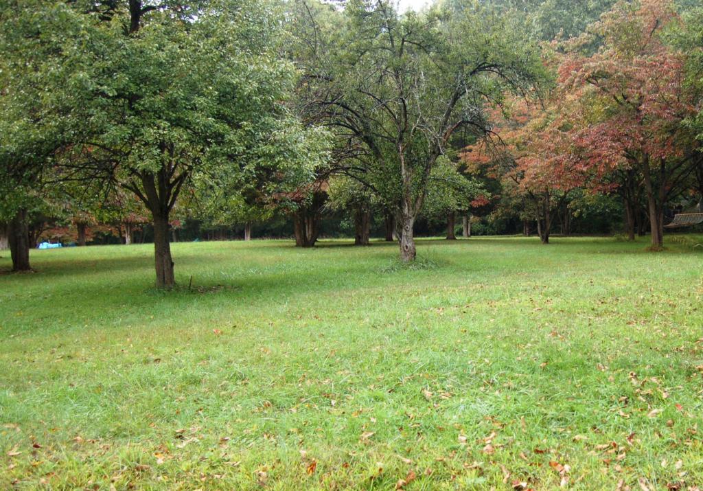 MLS #/Web ID: 2700531
