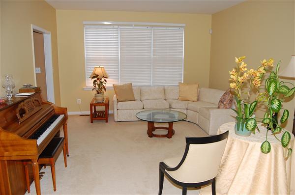 42 GOLDSTAR DR