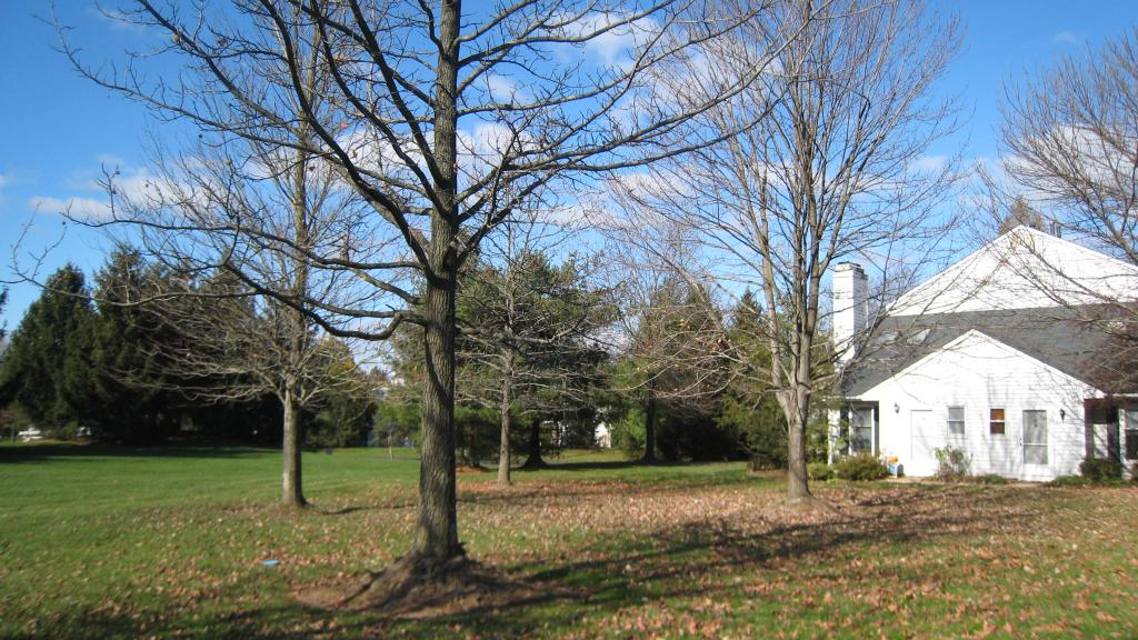 95 HUCKLEBERRY CT
