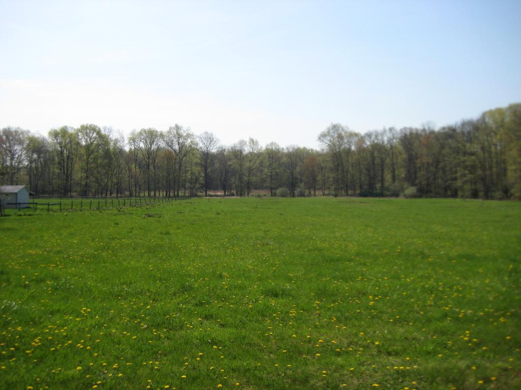 MLS #/Web ID: 2679132