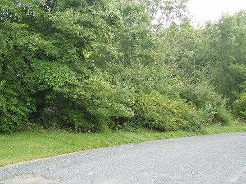 MLS #/Web ID: 2703432