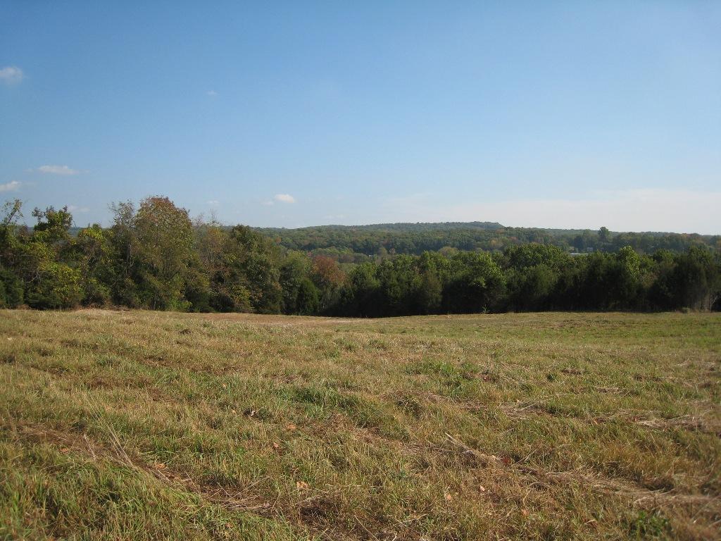 MLS #/Web ID: 2713732