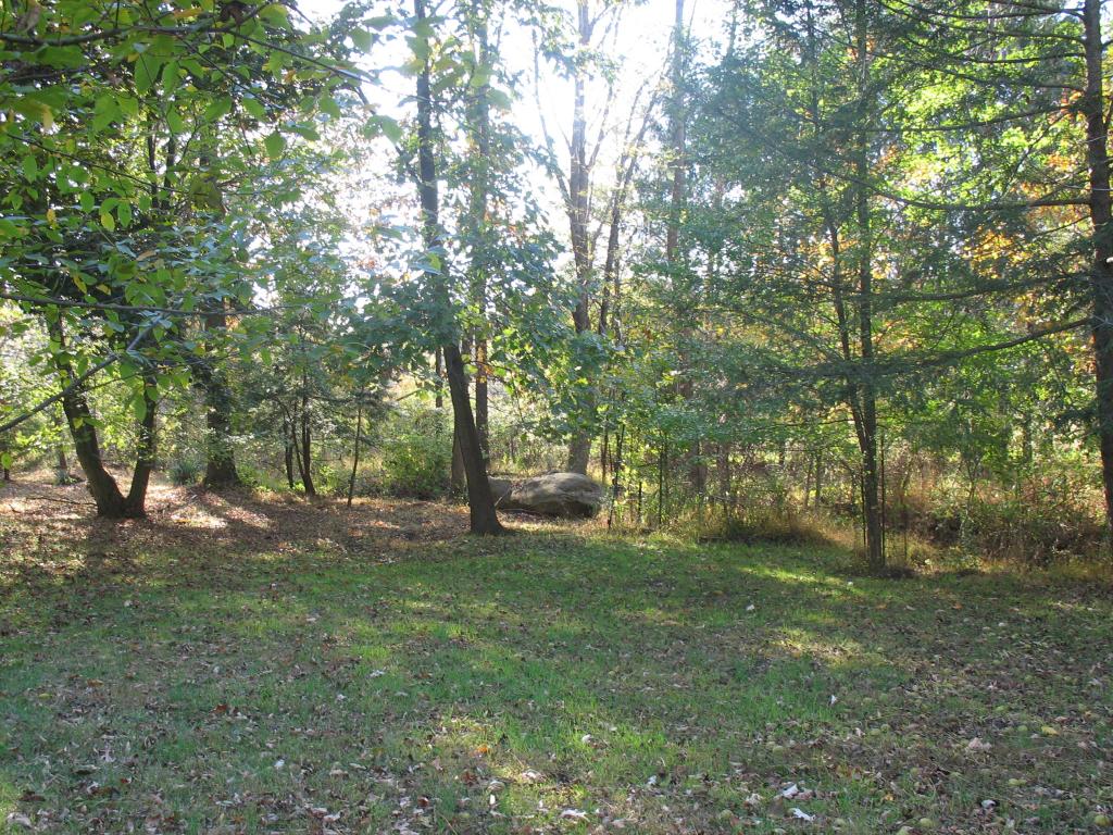 MLS #/Web ID: 2723032