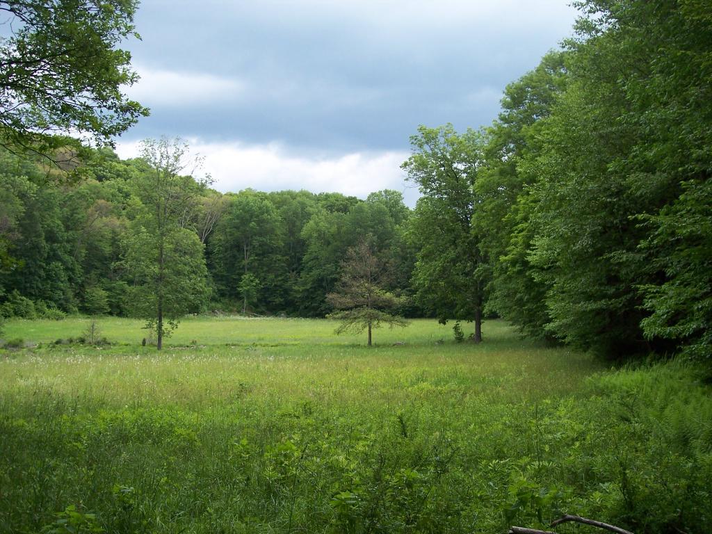 MLS #/Web ID: 2682833