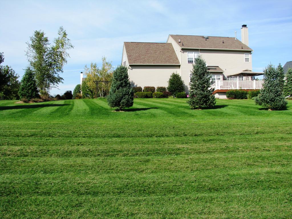1135 MONROE DR