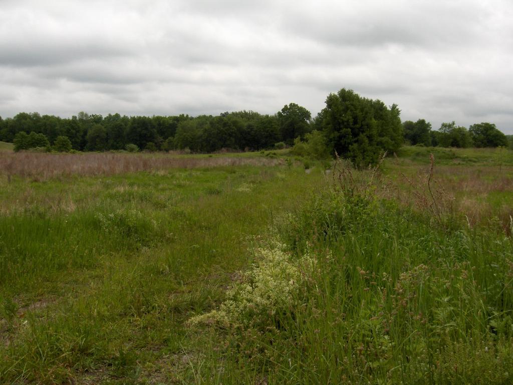 MLS #/Web ID: 2716235