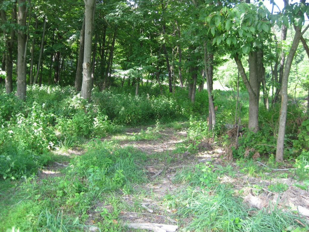 MLS #/Web ID: 2682437