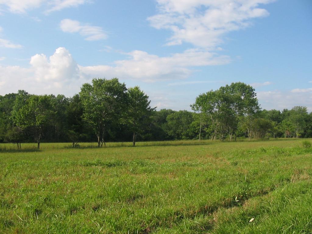 L-15 Stony Brook Road