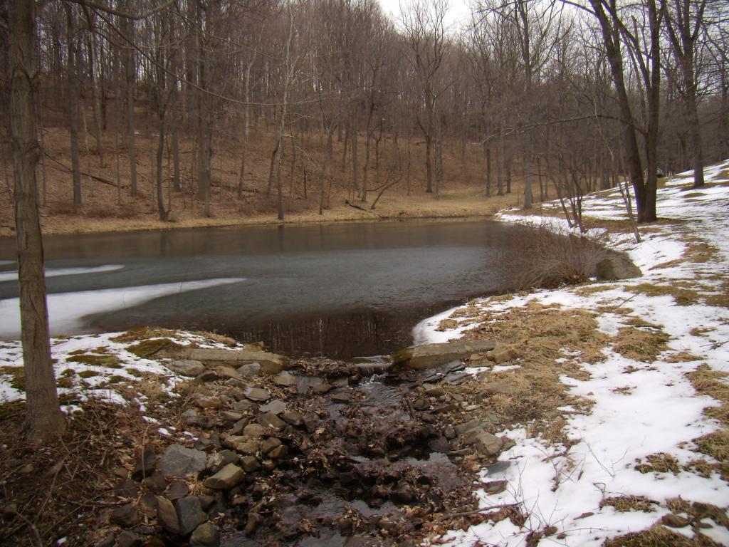 MLS #/Web ID: 2659738