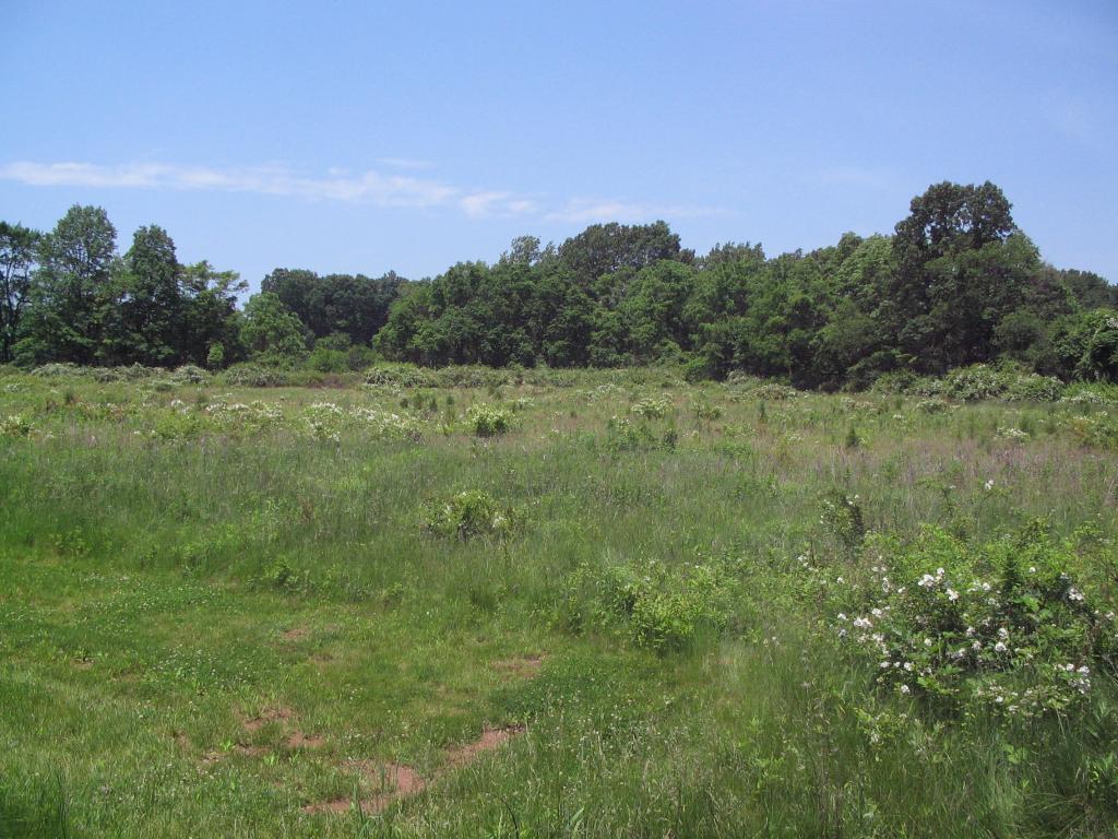 MLS #/Web ID: 2671238