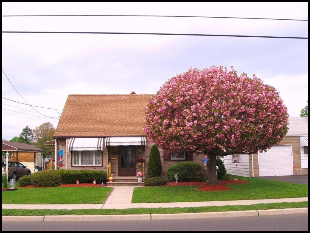 110 WILLARD AVE