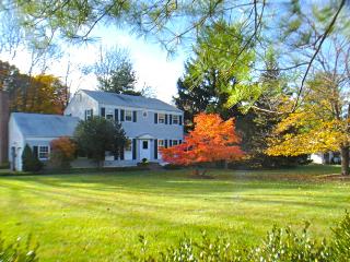 20 MAPLE AVE