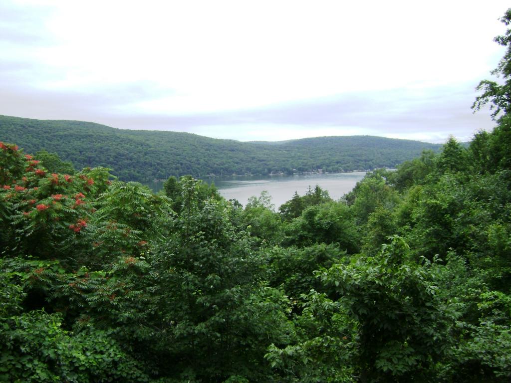 88 N Deer Trail