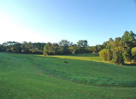 MLS #/Web ID: 2717439
