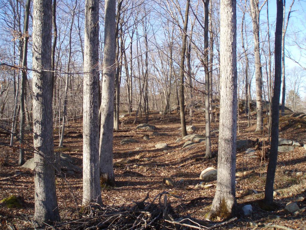Land for Sale, ListingId:14430381, location: 0 PARTRIDGE LN Byram Twp 07821
