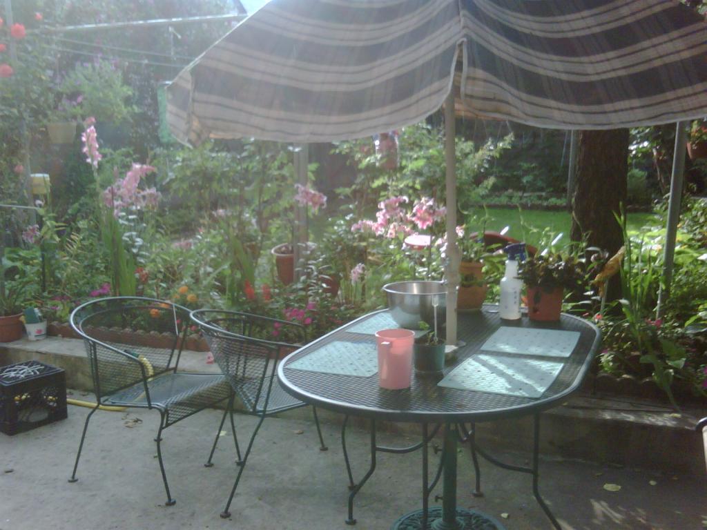 MLS #/Web ID: 2697640