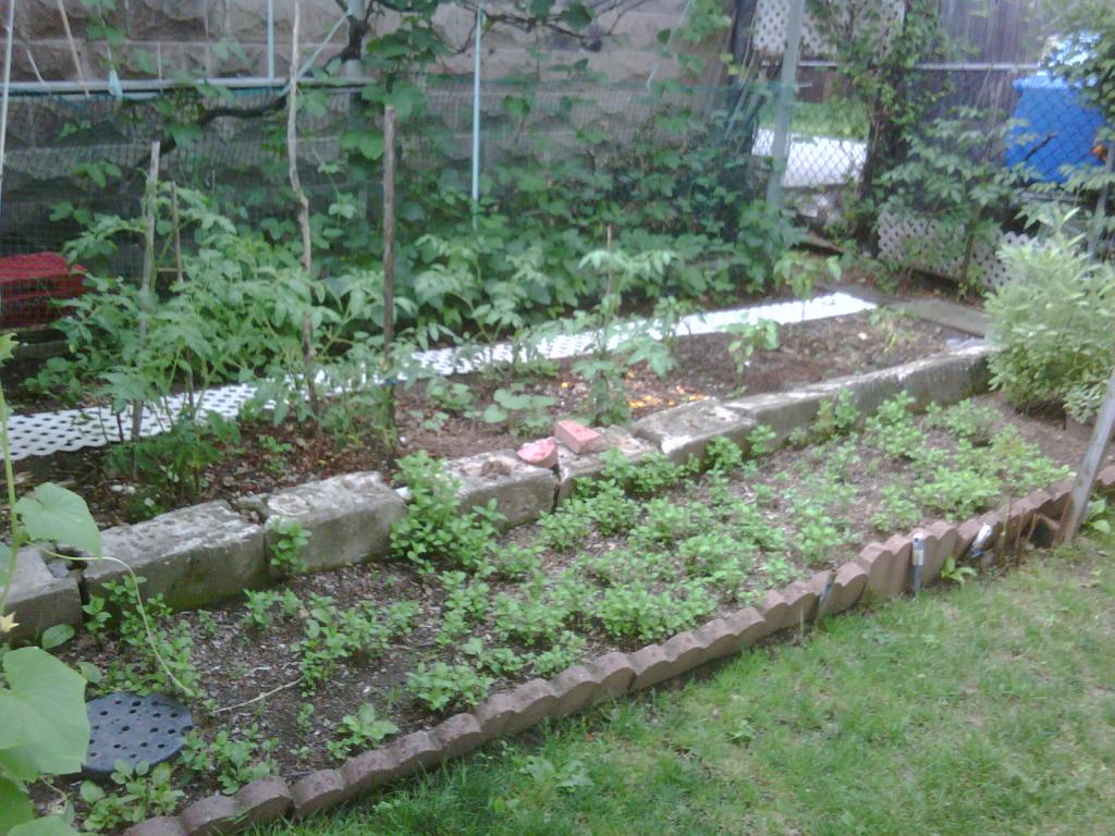 MLS #/Web ID: 2697640