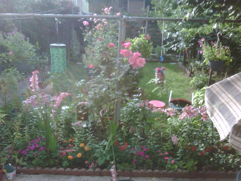 MLS #/Web ID: 2697640