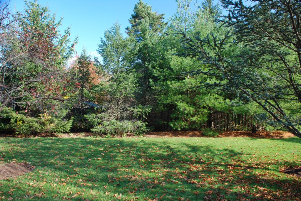MLS #/Web ID: 2725140
