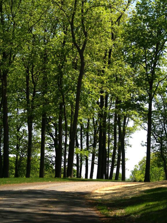 MLS #/Web ID: 2628341