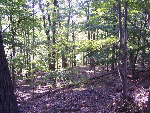 MLS #/Web ID: 2680042