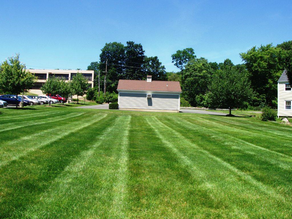 MLS #/Web ID: 2698942
