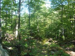 8 Carpenter RD