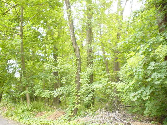 Land for Sale, ListingId:10686771, location: 2 Shuart Lane Mahwah 07430