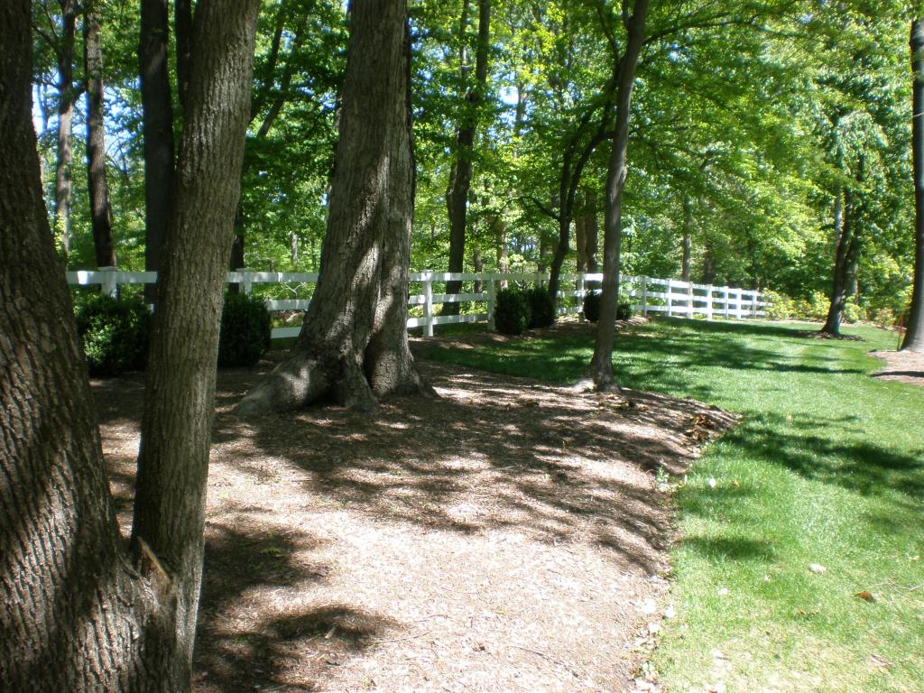 82 STONYBROOK RD