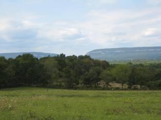 MLS #/Web ID: 2576144