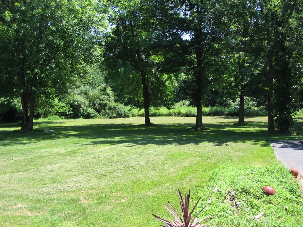 MLS #/Web ID: 2688944