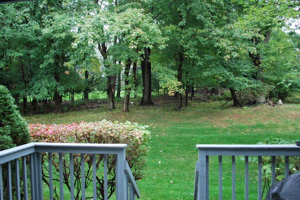 MLS #/Web ID: 2717644