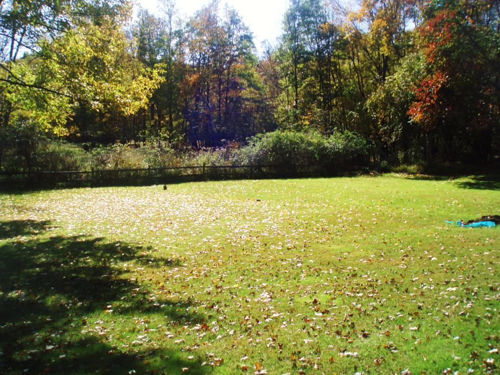 749 RIVER RD