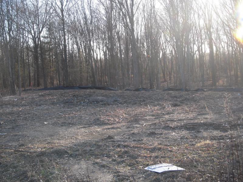 11 MEADOW CT