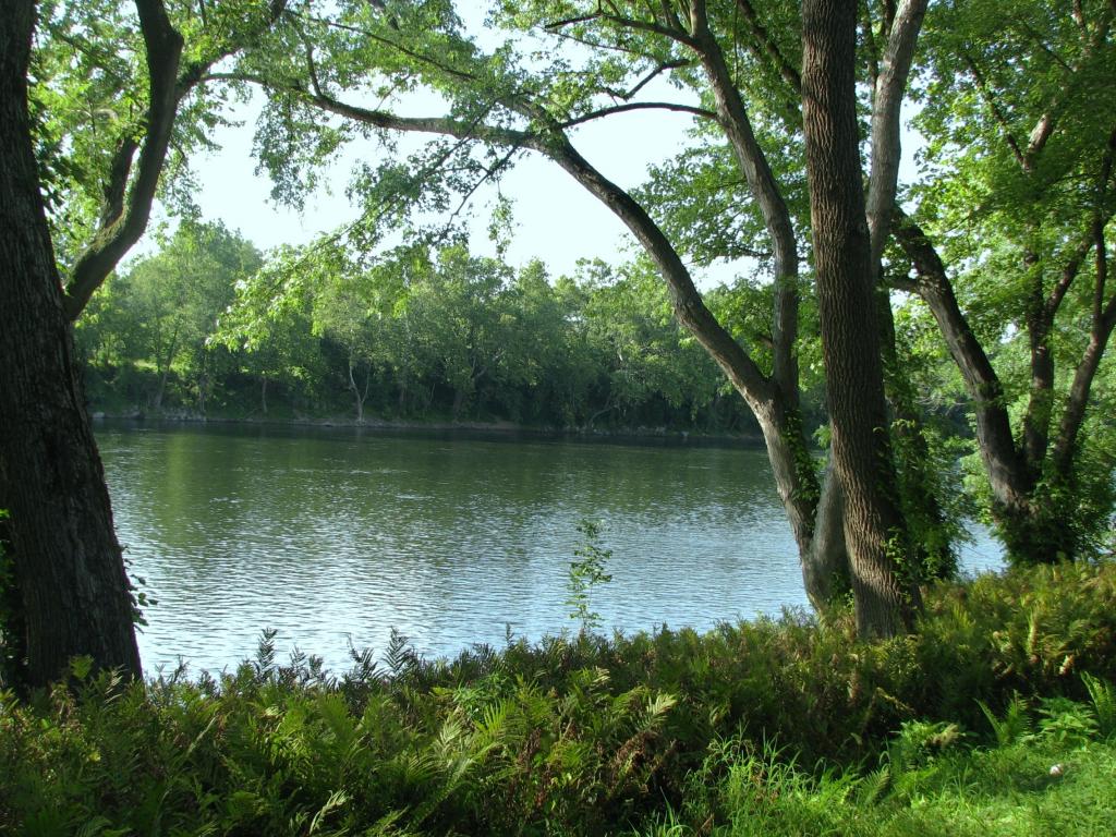 MLS #/Web ID: 2579346